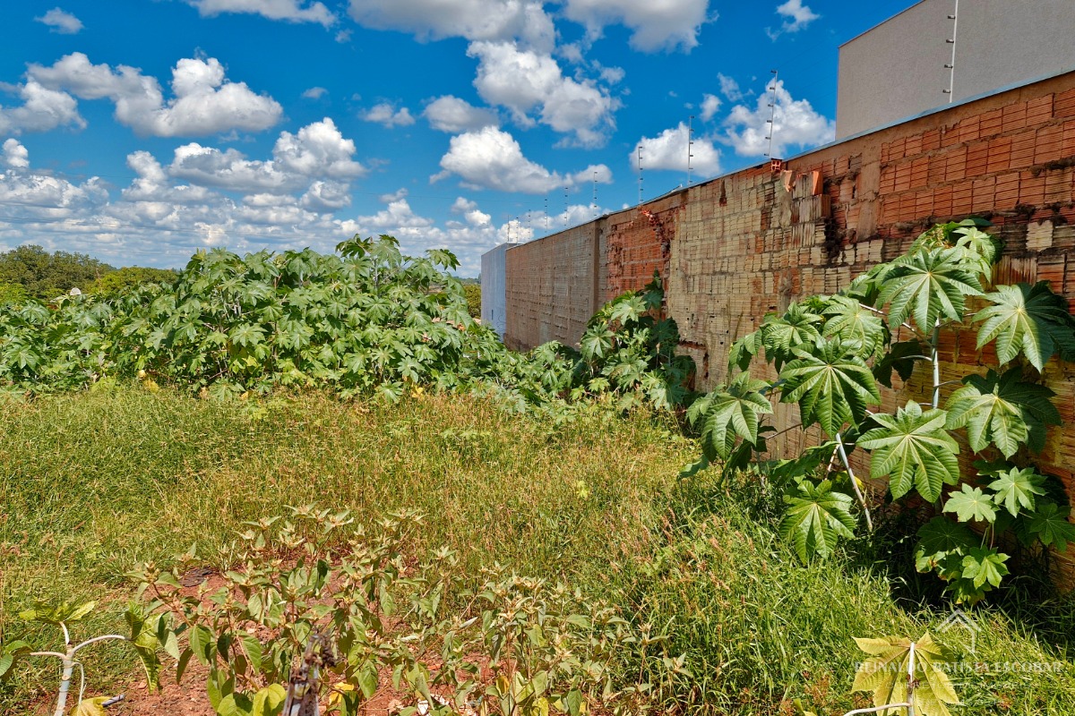 Terreno à venda no jardim centenário