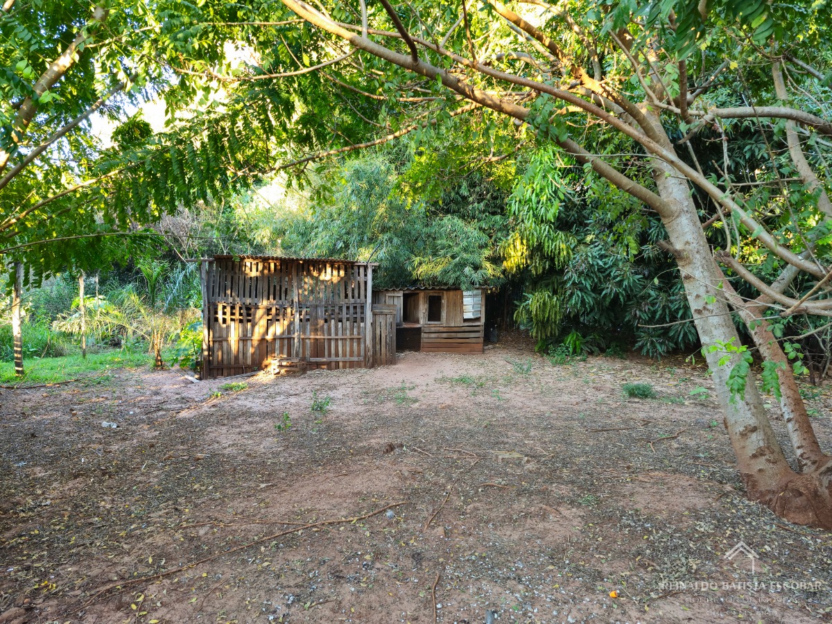 Sítio, 2 quartos, 5000 m² - Foto 9
