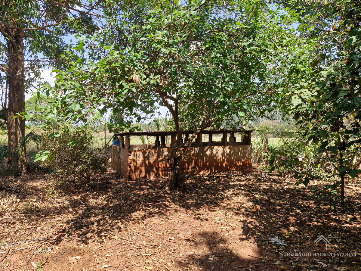 Sítio, 2 quartos, 30 m² - Foto 20
