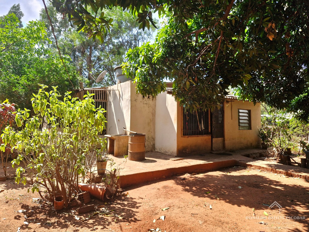 Sítio, 2 quartos, 30 m² - Foto 4